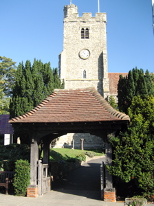 [An image showing Guided Walks in Essex]